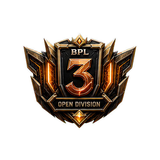 3 место OPEN DIVISION