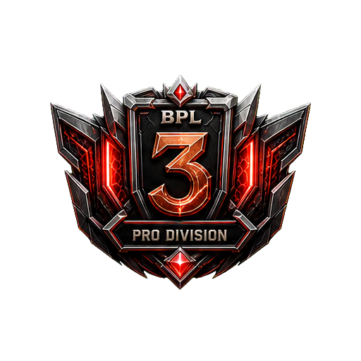 3 место PRO DIVISION