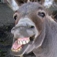 RenamedUser_208295556