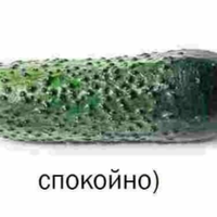 neposredstvennoYayca