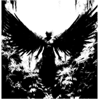 hurma666