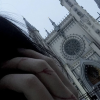 Shr3d