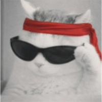 333Rambo_