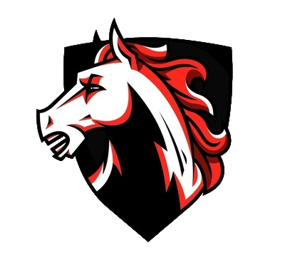 Stallions team